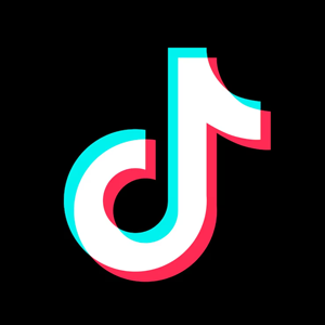TikTok Logo